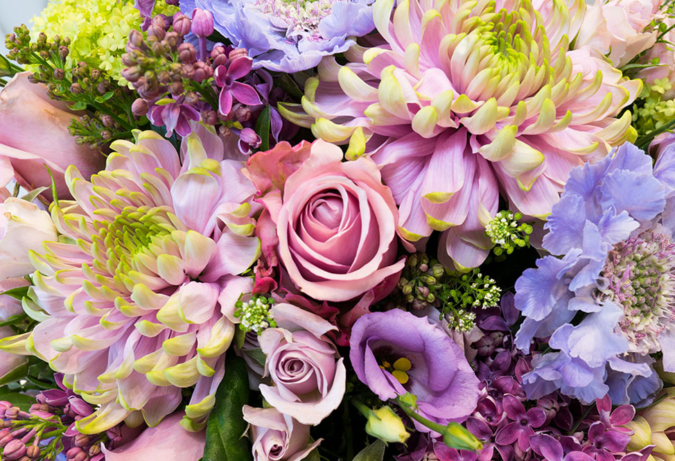 Bouquets & Plants