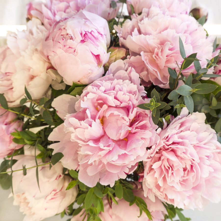 Pink Peony – Enchanted Floral Design Pink Peony - Enchanted Floral Design